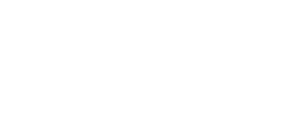 Serflash